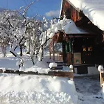 Ramsau 8 Vakantiehuis Bad Goisern