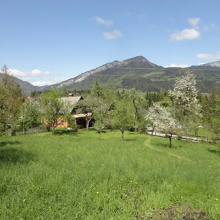 Ramsau 8 * Bad Goisern