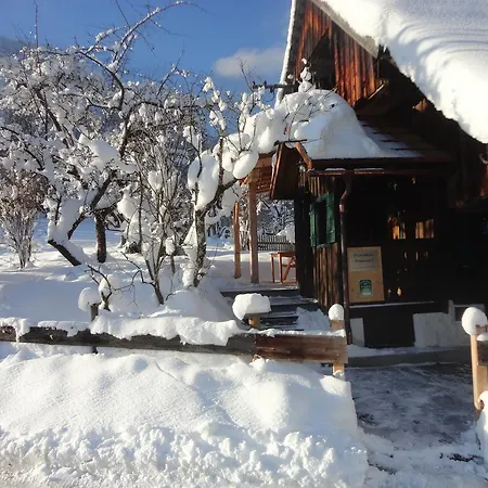 Ramsau 8 Semesterbostad Bad Goisern