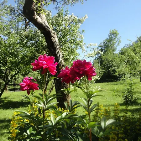 Дом отдыха Ramsau 8