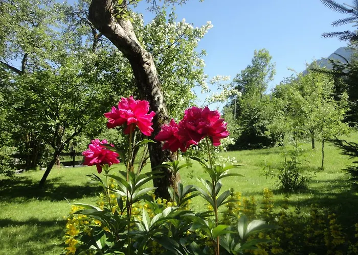 Дом отдыха Ramsau 8